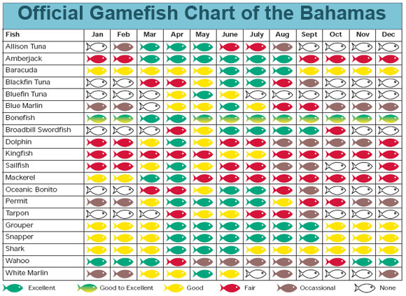 580x422 Fishing Chart