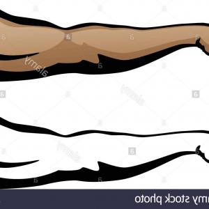 300x300 Muscular Arm Extended Fist Punch Vector Illustration Image