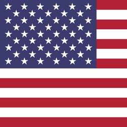 250x250 The United States Flag Vector