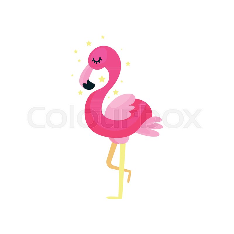 800x800 Cute Cartoon Pink Flamingo Vector Illustration Isolated On A White