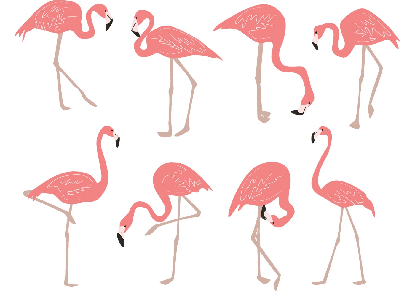 1400x980 Flamingo Free Vector Art