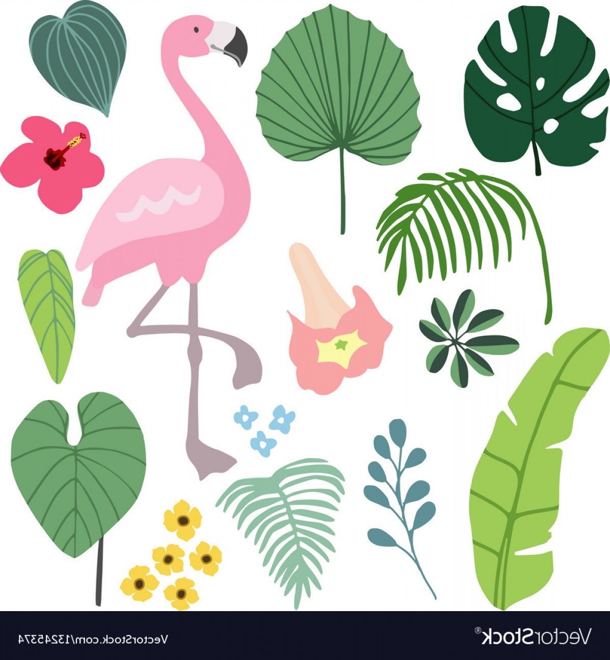 1197x1296 Flamingo Vector Graphic Shopatcloth