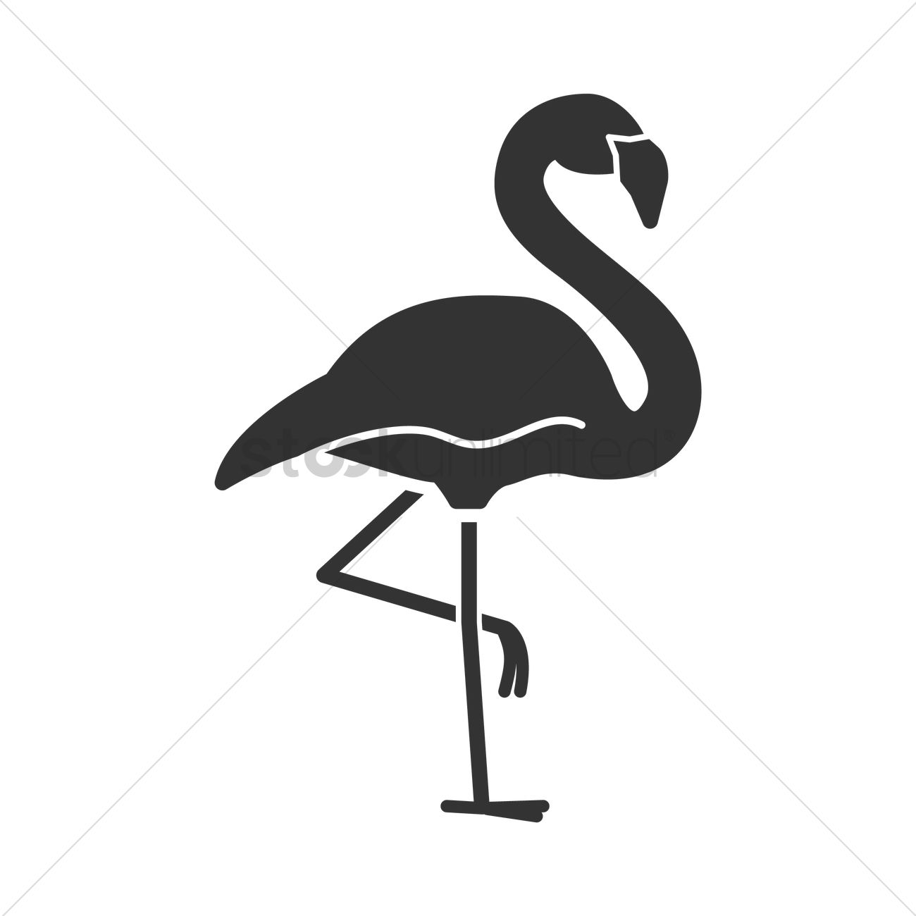 1300x1300 Flamingo Vector Image