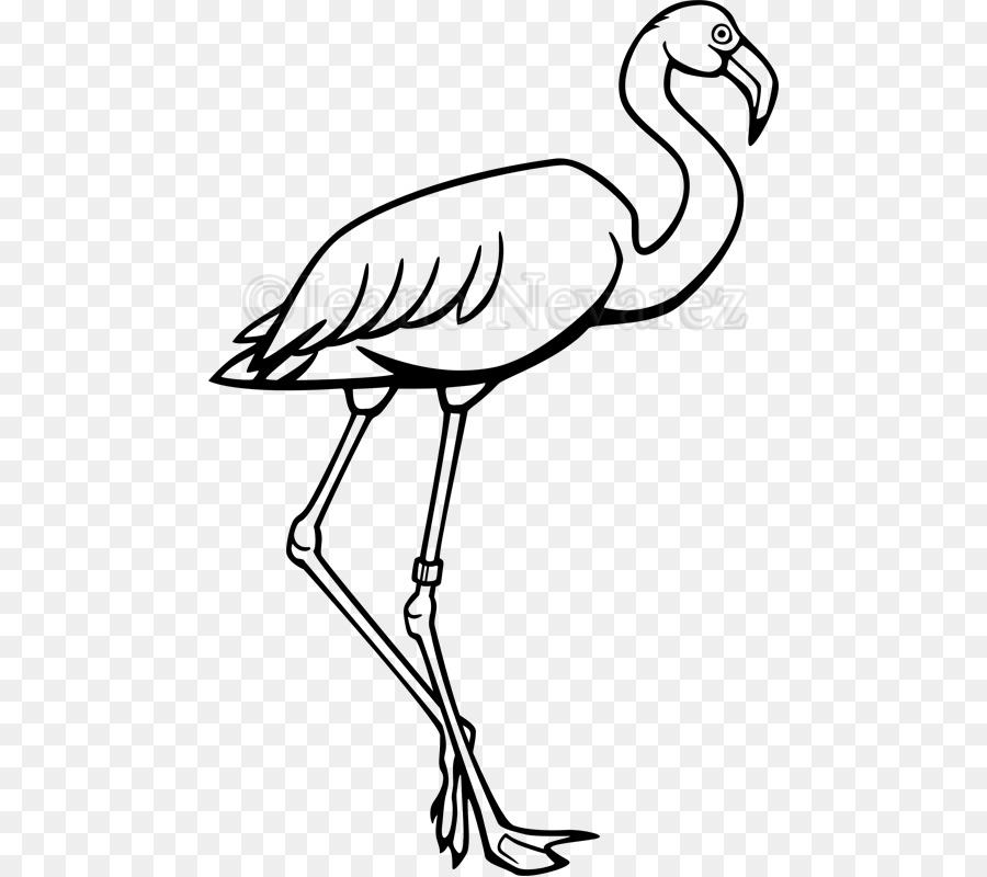 Flamingo Vector at GetDrawings | Free download