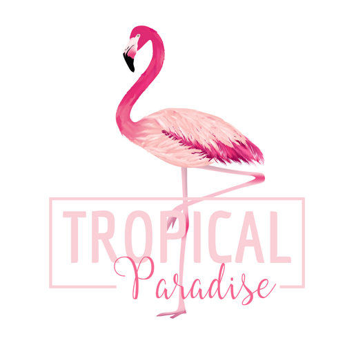 500x500 Watercolor Flamingo Vector Background 01 Free Download