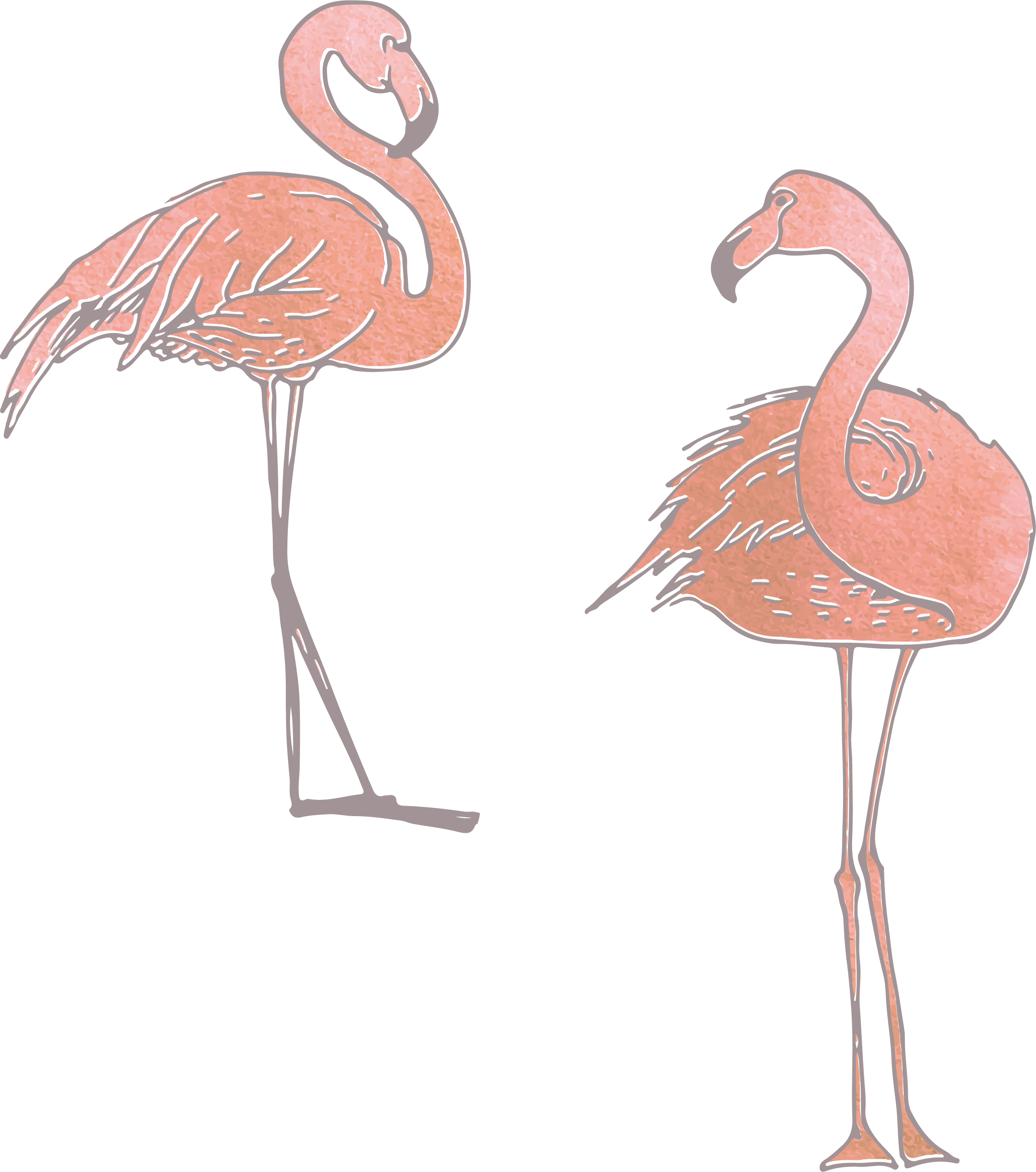2480x2806 Collection Of Free Flamingo Vector Skeleton. Download On Ubisafe