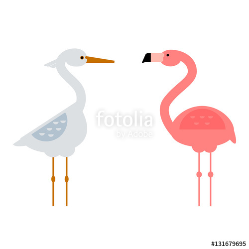 500x500 Cool Stork And Flamingo Vector Illustration. Stock Image And