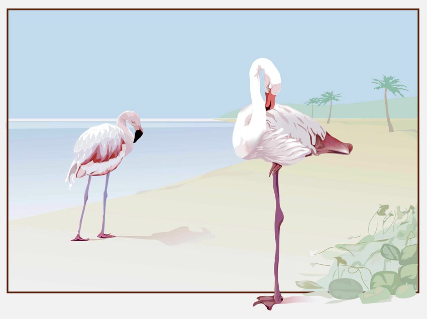 850x636 Flamingo Vector Vector Art Amp Graphics
