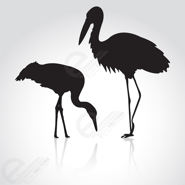 633x633 Free Free Flamingo Vector Silhouettes Psd Files, Vectors
