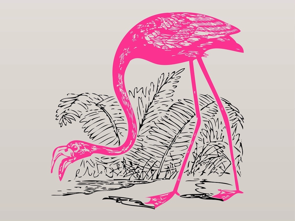 1024x768 Pink Flamingo Vector