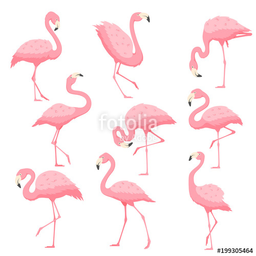 500x500 Pink Flamingo Vector Cartoon Illustration Stock Image And Royalty
