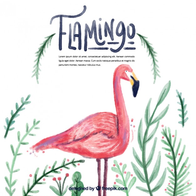 626x626 Watercolor Flamingo With Leaves Free Vectors Ui Download