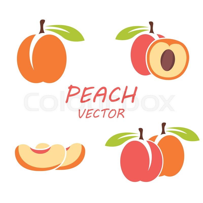 800x800 Vector Flat Peach Icons Set On White Backgrounds Stock Vector