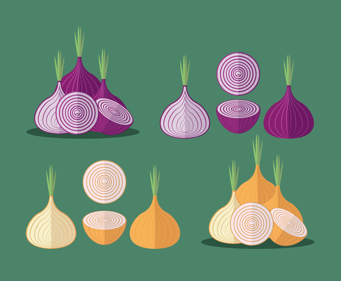 1136x936 Onion Flat Vector Vector Art Amp Graphics