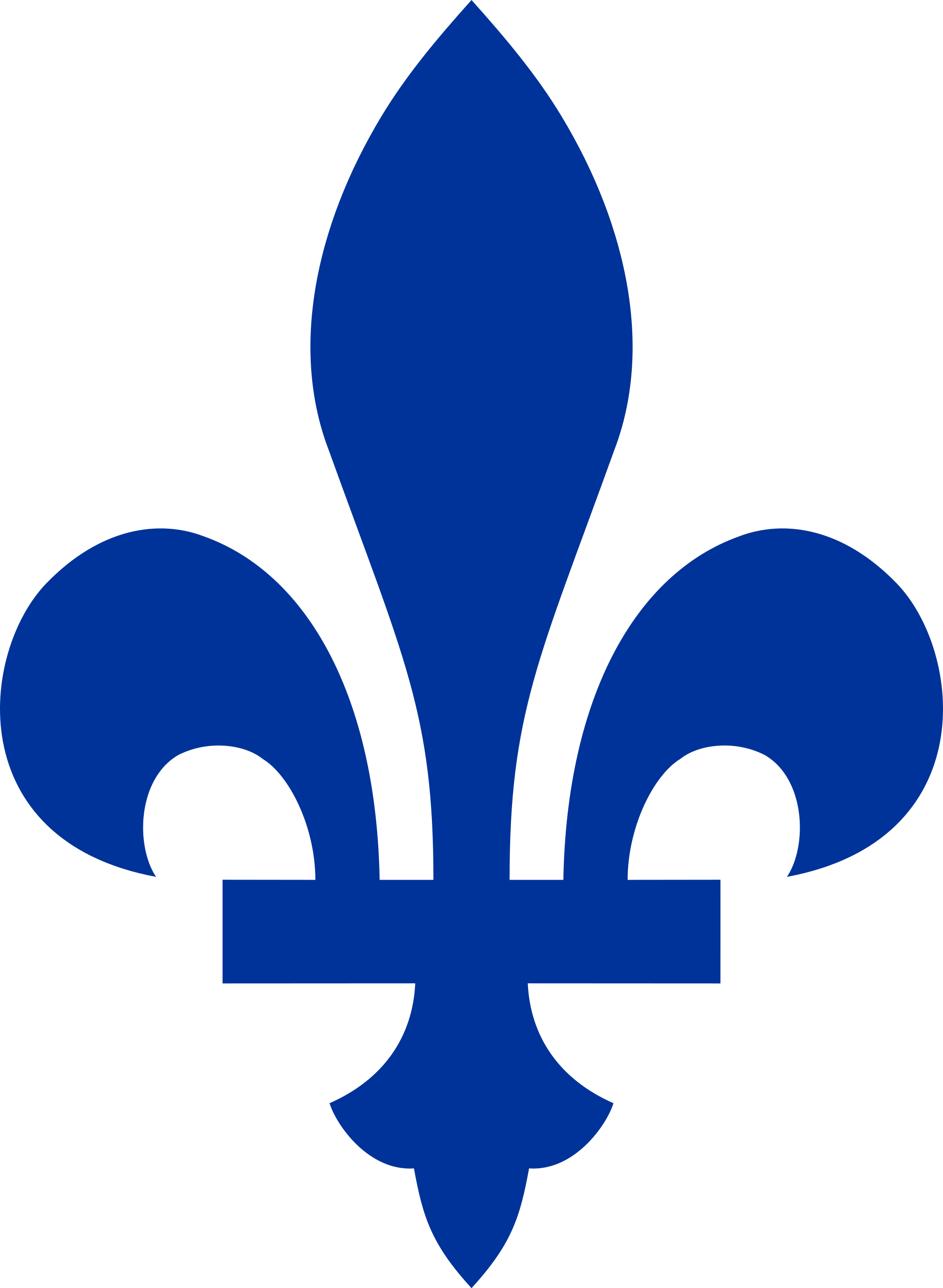 2000x2731 Filefleur De Lys Du