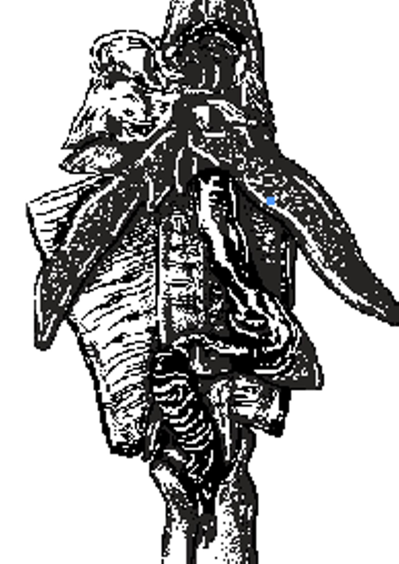 1280x1808 Textbook Illustration Visual Art Cleveland Scene