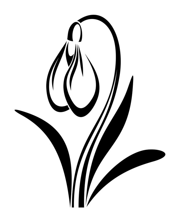 587x700 Sticker Silhouette Noire De Perce Neige Fleur. Vector Illustration