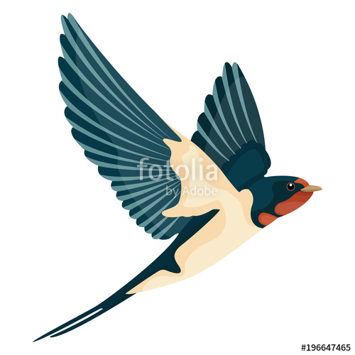 500x500 Swallow In Flight Vector Illustration Style Flat Stock Image And