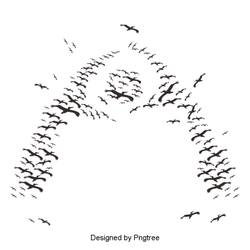 360x360 Flock Of Birds Vector Png, Vectors, Psd, And Clipart For Free