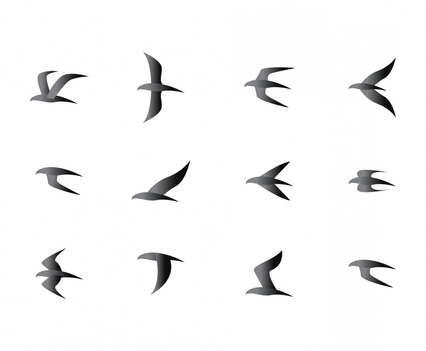 1363x1123 Results For Flock Of Birds Vector