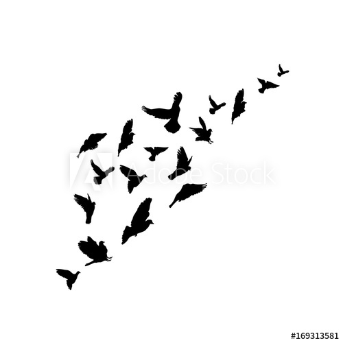 500x500 Silhouettes A Flock Of Birds. Vector Illustration. Isolated On