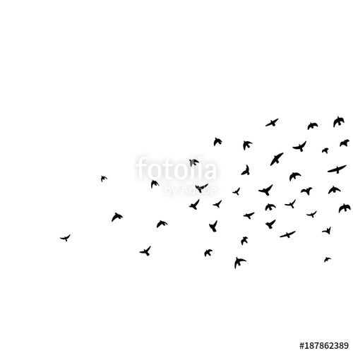 500x500 Flock Of Flying Birds Vector Illustration Stock Image And Royalty