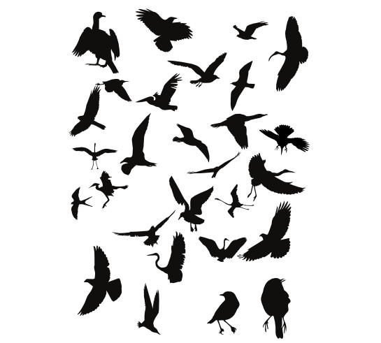 545x491 Chinese Painting Bird 01 Vector Free Vector 4vector