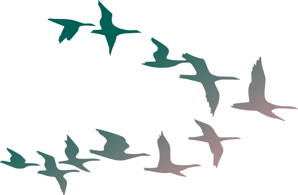 600x392 Collection Of Free Birds Vector In Flight. Download On Ubisafe