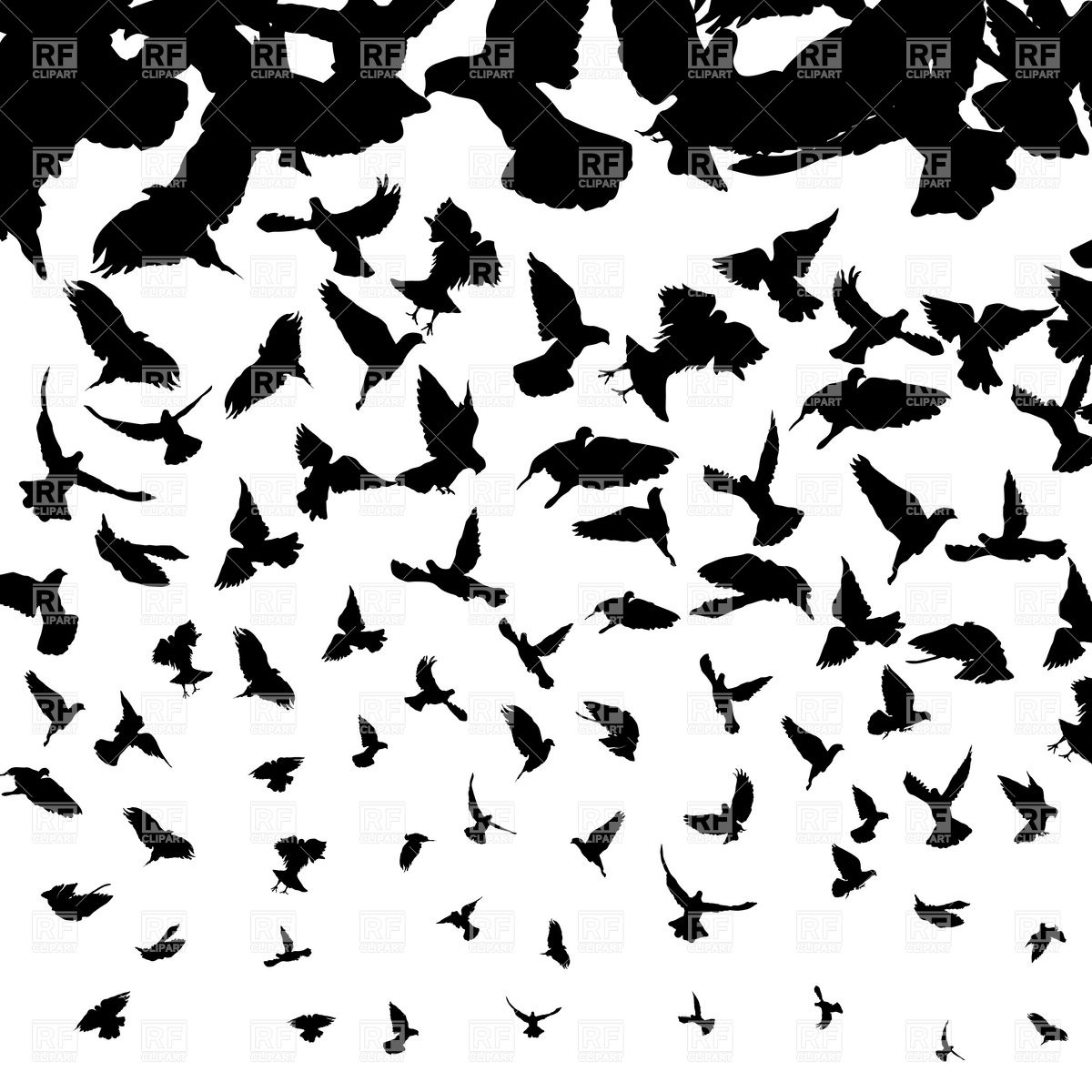 1200x1200 Background With Flying Birds Silhouettes Vector Image Vector
