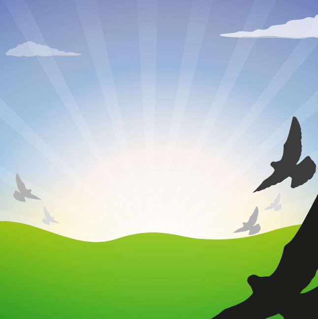 646x649 Flock Of Birds Vector Free Vectors Ui Download