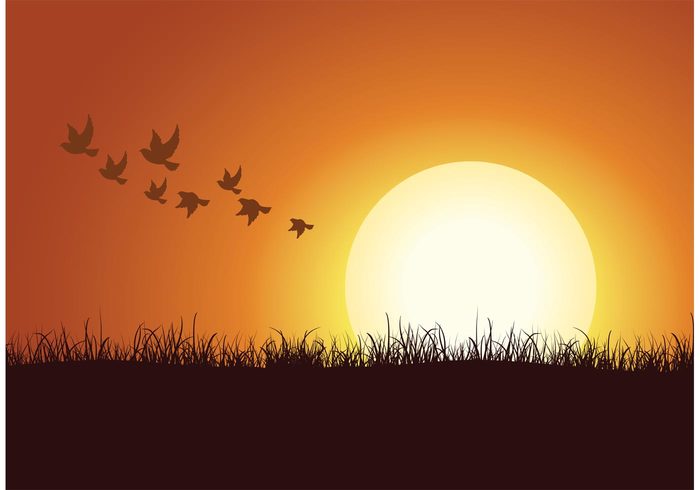700x490 Free Vector Flock Of Birds Background 112793