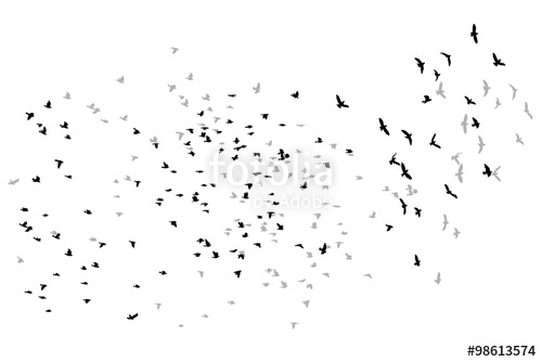 500x334 Flying Birds Vector Sketch. Stock Image And Royalty Free Vector