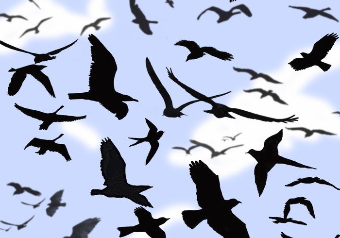700x490 Bird Photoshop Brushes