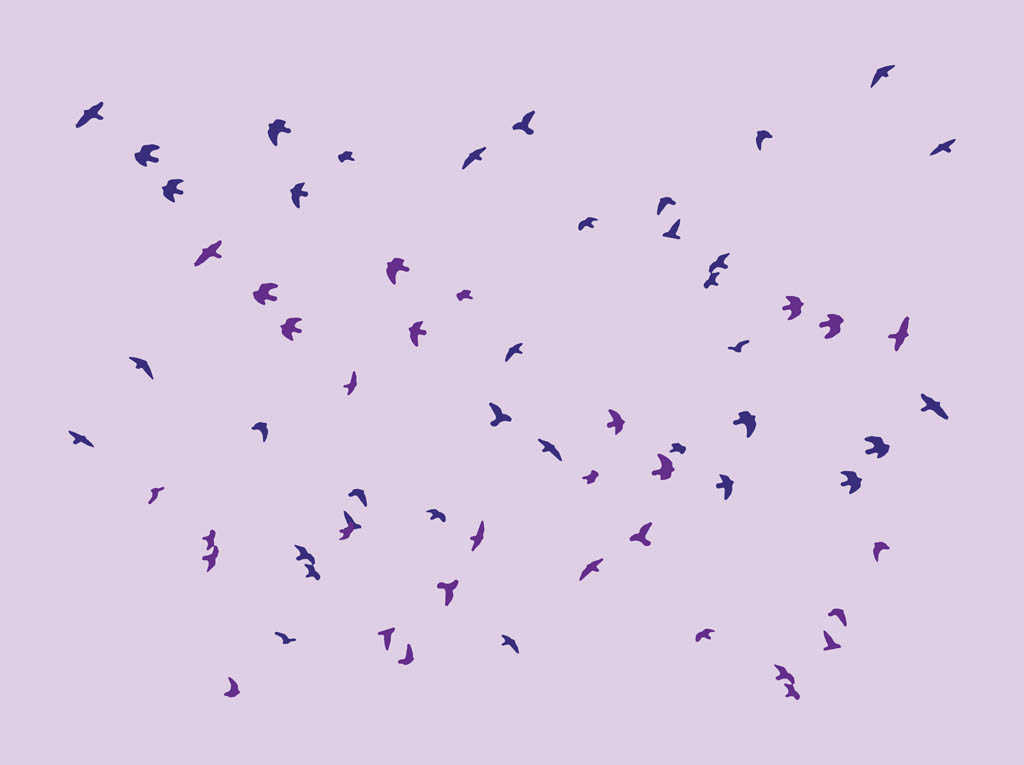 1024x765 Birds Flock Vector Art Amp Graphics