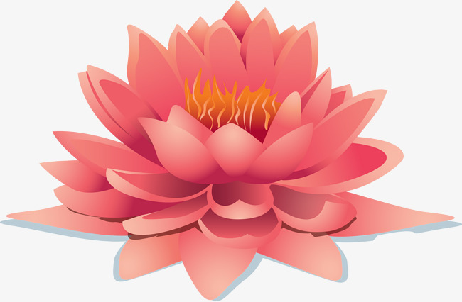 Flor De Loto Vector at GetDrawings | Free download