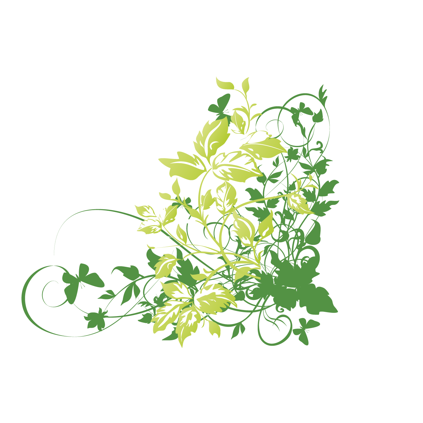 1389x1389 Floral Design Flower Download