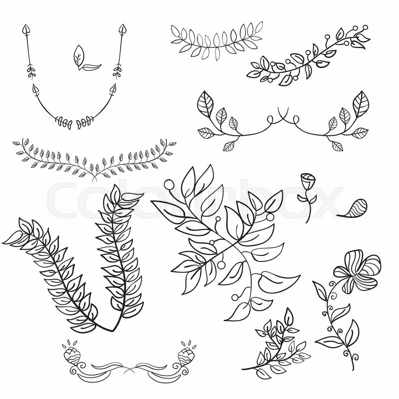 800x800 Hand Drawing Floral Leaf Ornament Vector Sketch Flower