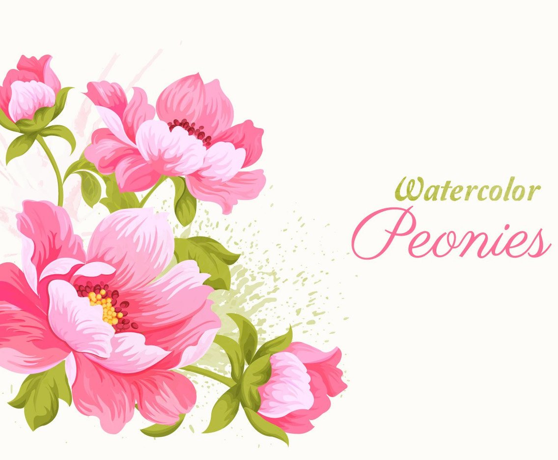 1136x936 Pink Watercolor Peonies Vector Illustration Vector Art Amp Graphics