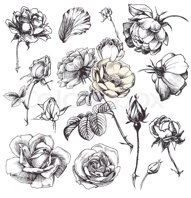 773x800 Stock Vector 14 M Images High Quality Images For Web Amp Print