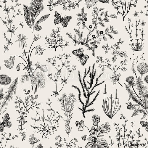 500x500 Vector Vintage Seamless Floral Pattern. Herbs And Wild Flowers