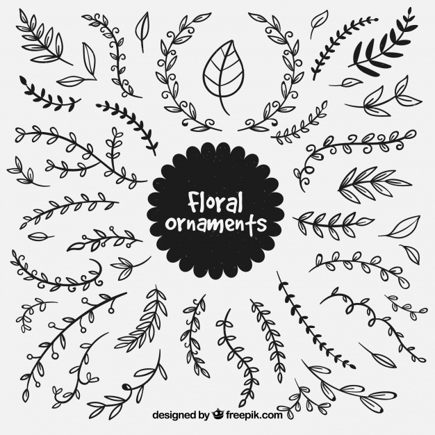 626x626 Collection Of Hand Drawn Floral Ornament Vector Free Download