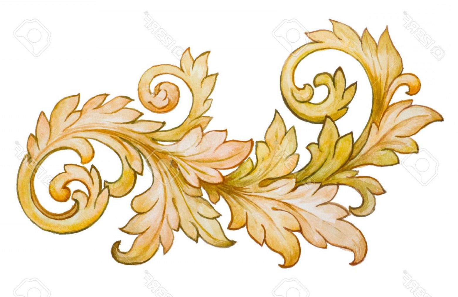 1560x1010 Photostock Vector Vintage Baroque Floral Scroll Foliage Ornament
