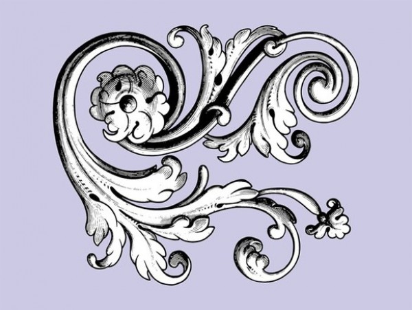 600x451 Vintage Floral Scroll Vector Graphic