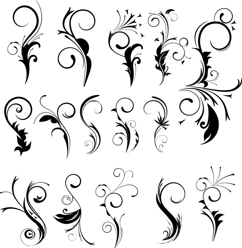 800x820 Curl Clipart Floral Scroll