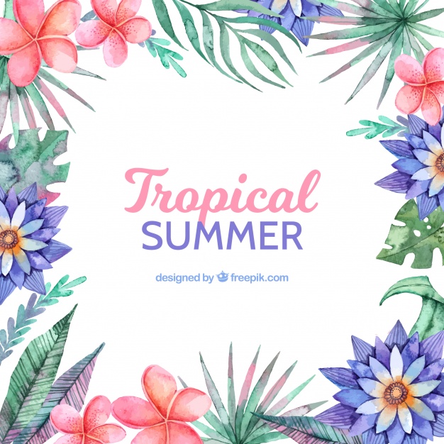 626x626 Tropical Summer Background With Different Flores Vector Free