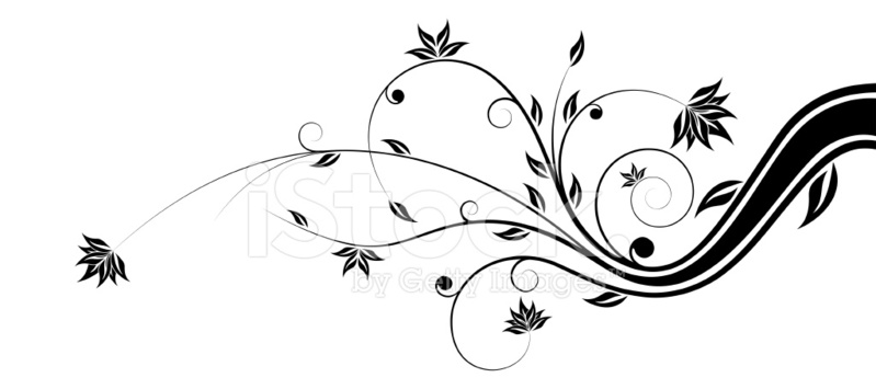 799x355 Vector Flores Stock Vector