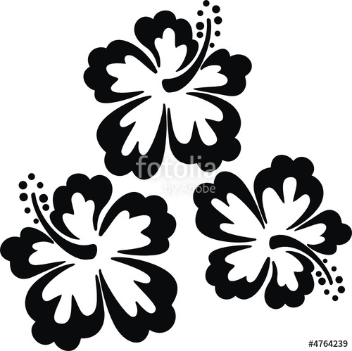 500x499 Flores Hawaii Stock Image And Royalty Free Vector Files On