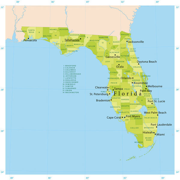 599x600 Florida Vector Map