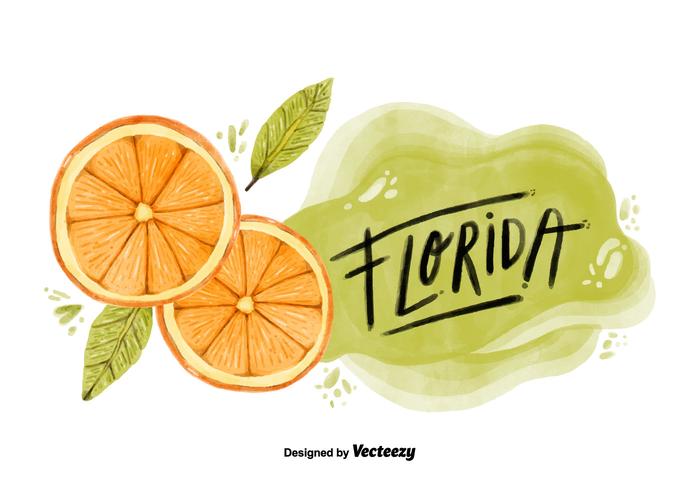 700x490 Florida Orange County Watercolor Vector