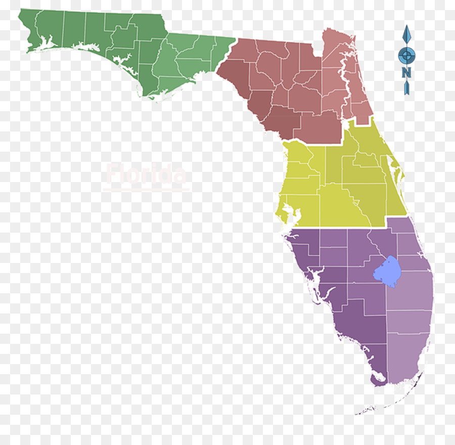 900x880 Florida Vector Map Royalty Free